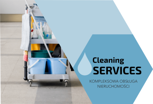 profesjonalne usługi sprzątania